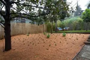 2121 Clifford St — image 16