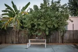 2241 Harwood St — image 11