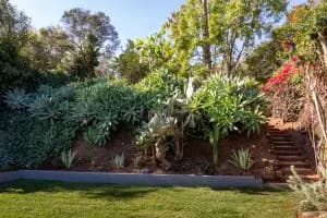 2335 Kenilworth Ave — image 4