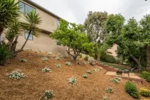 348 W Avenue 41 — image 17