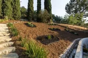 3650 Mimosa Dr — image 17